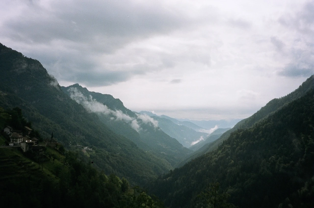 Tender Observer bench in a landscape